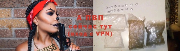 гашик Надым