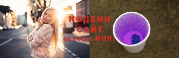 гашик Надым