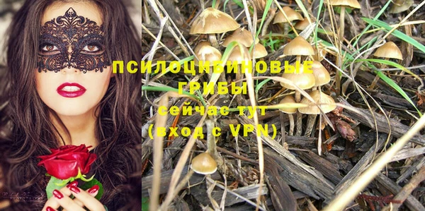 стаф Навашино