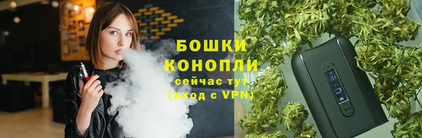 гашик Надым