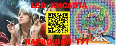 шишки Заводоуковск