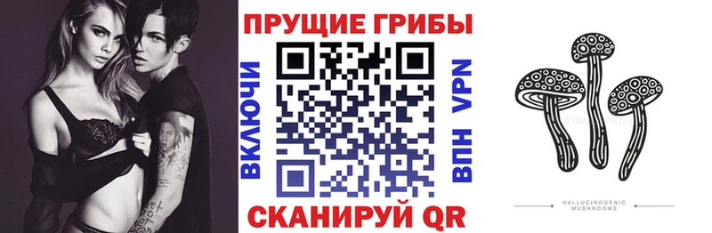 Псилоцибиновые грибы Magic Shrooms  Новотроицк 