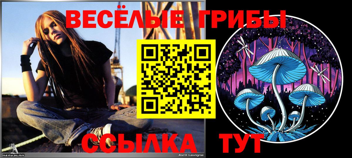 наркотики  Псилоцибиновые грибы прущие грибы  Вход с VPN  Новотроицк 