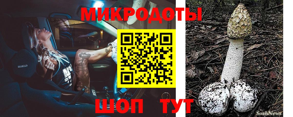 Псилоцибиновые грибы GOLDEN TEACHER Новотроицк