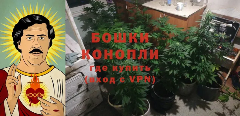 купить наркоту  Новотроицк  kraken   Бошки марихуана Bruce Banner 